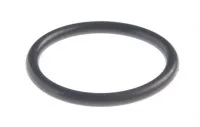 200900220 Уплотнительное кольцо улитки SCR-100HX