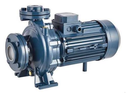 Насос центробежный моноблочный Purity PSTC 50-160/75 (N)