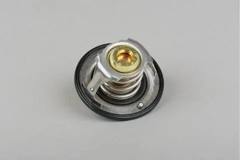 3800884 C6004216120 Термостат Камминз / Thermostat Cummins