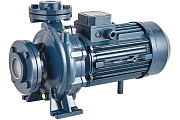 Насос центробежный моноблочный Purity PSTC 50-200/110