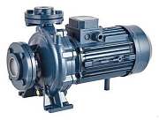 Насос центробежный моноблочный Purity PSTC 50-160/75 (N)